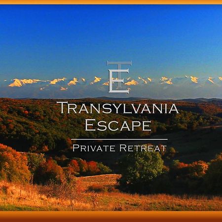 Апартаменти Transylvania Escape Richisu Екстер'єр фото